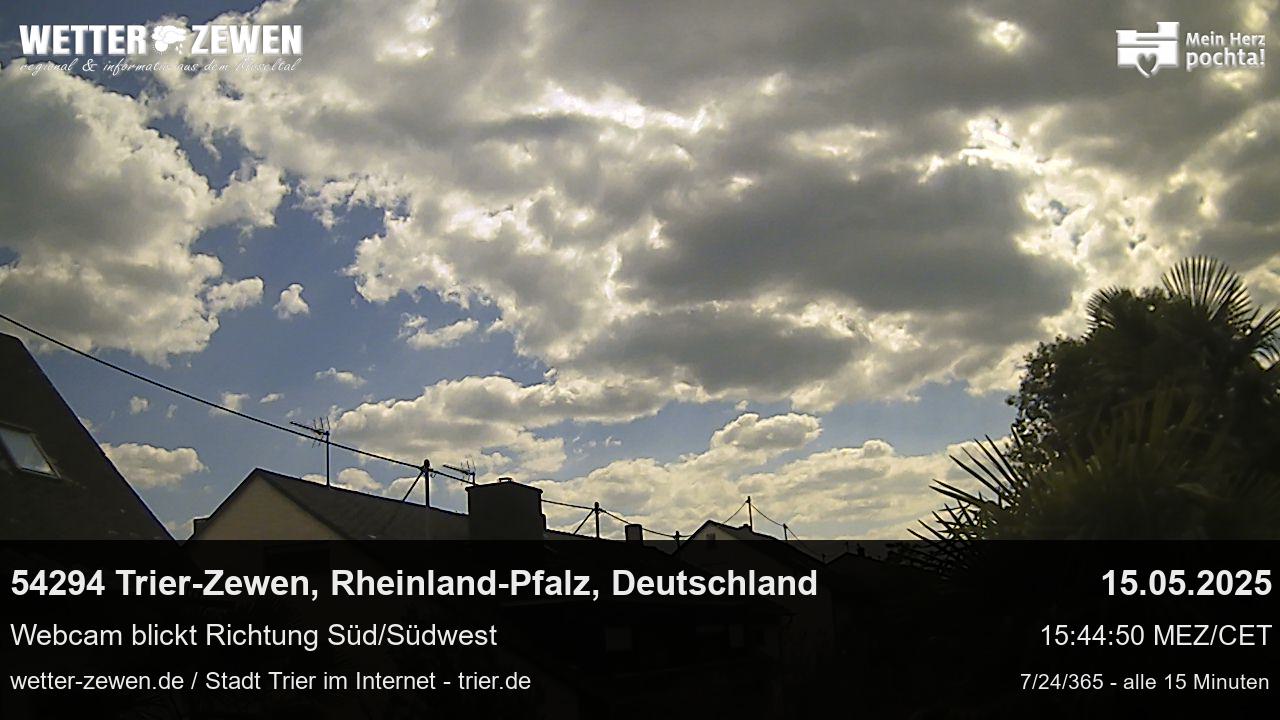 Bild