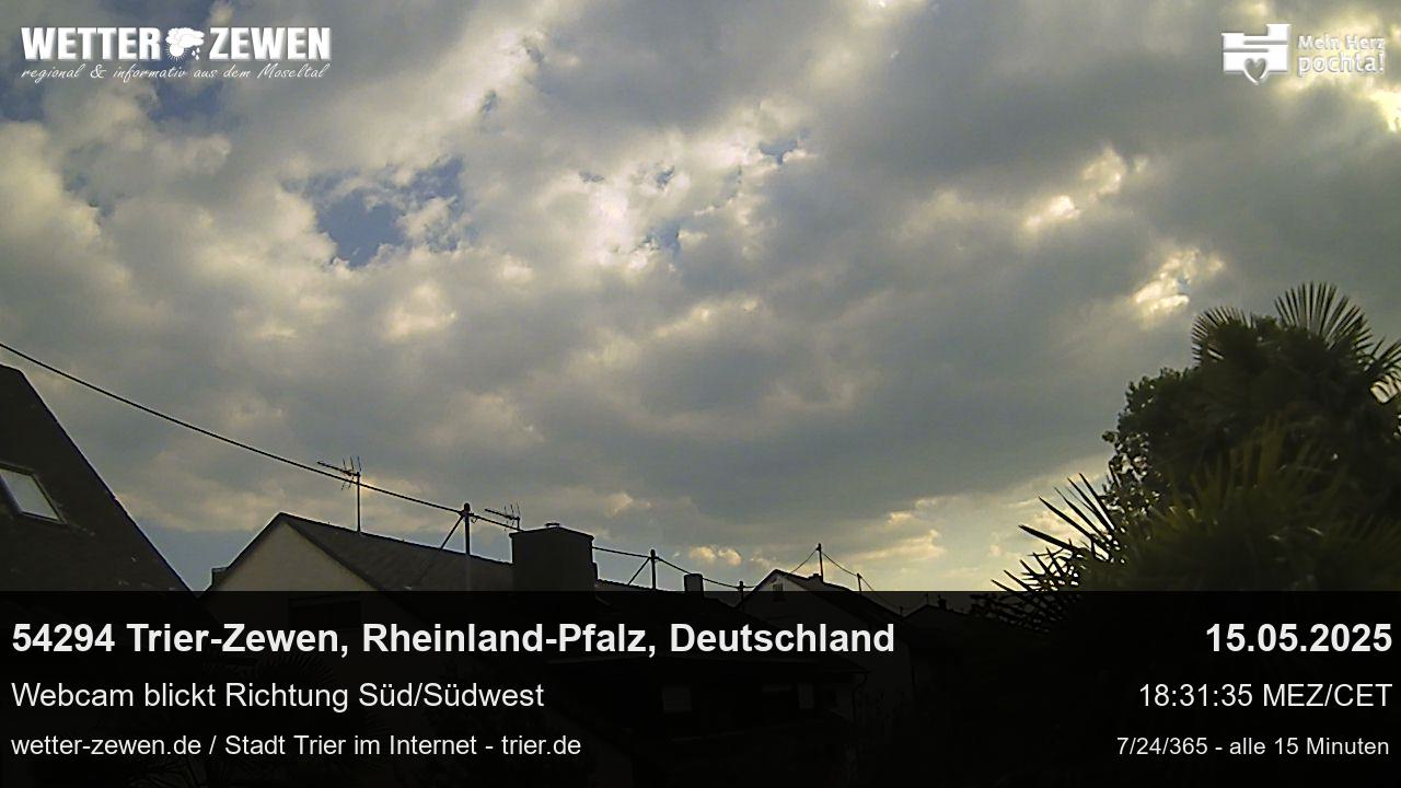 Bild