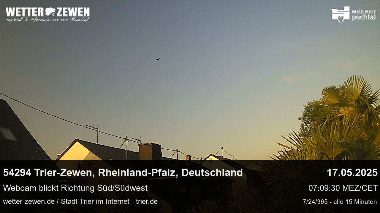 Bild