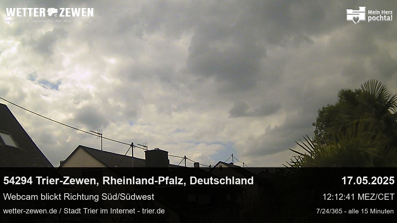 Bild