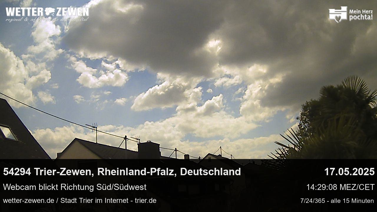 Bild