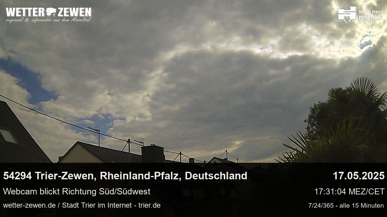 Bild