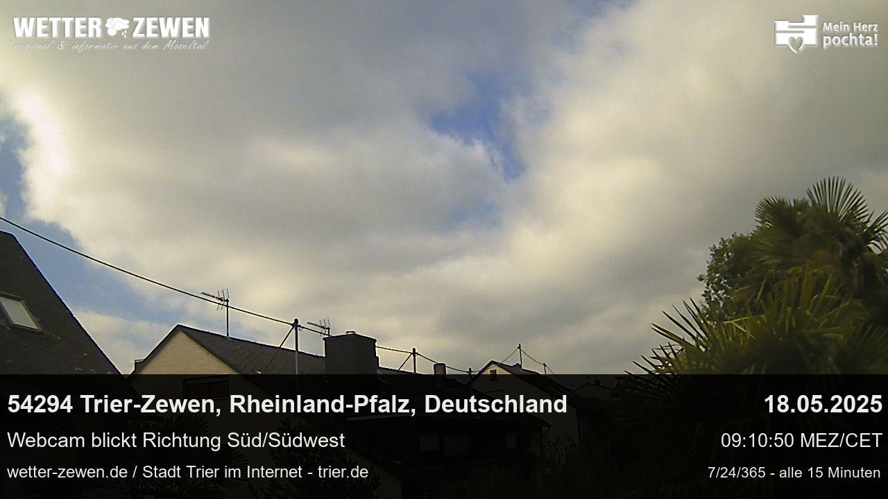 Bild