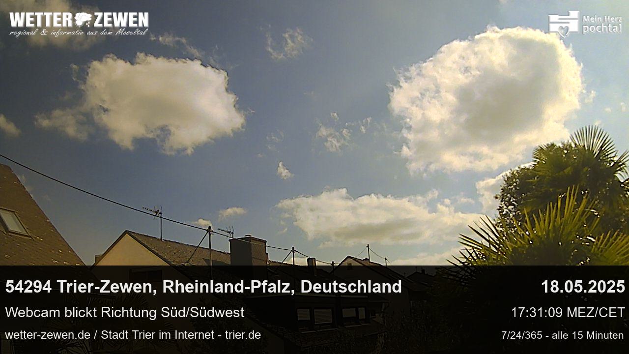 Bild