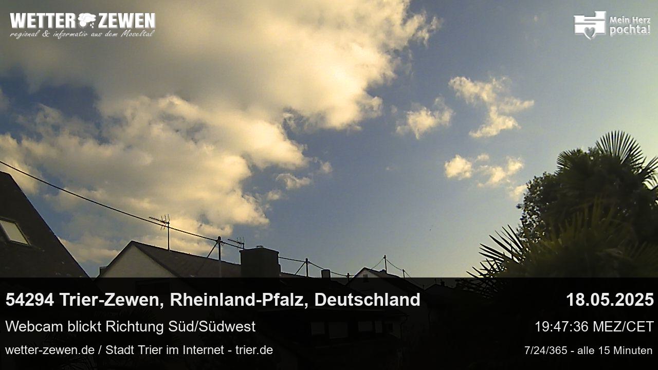 Bild