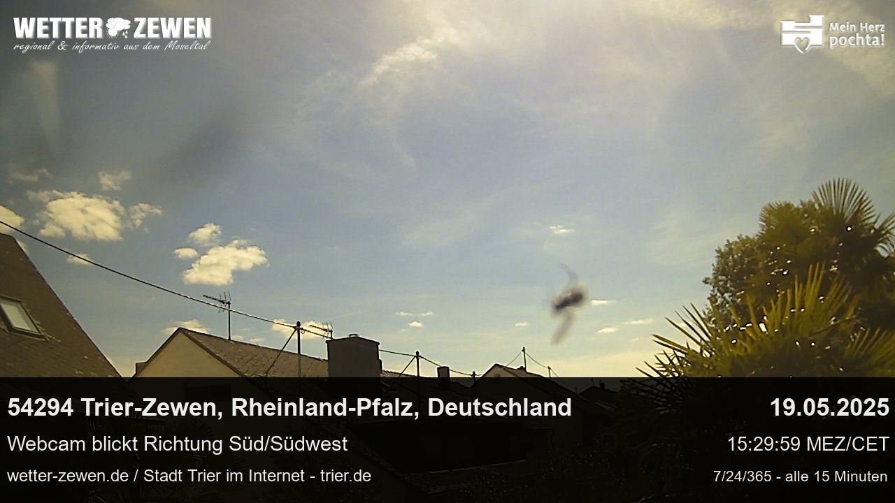 Bild