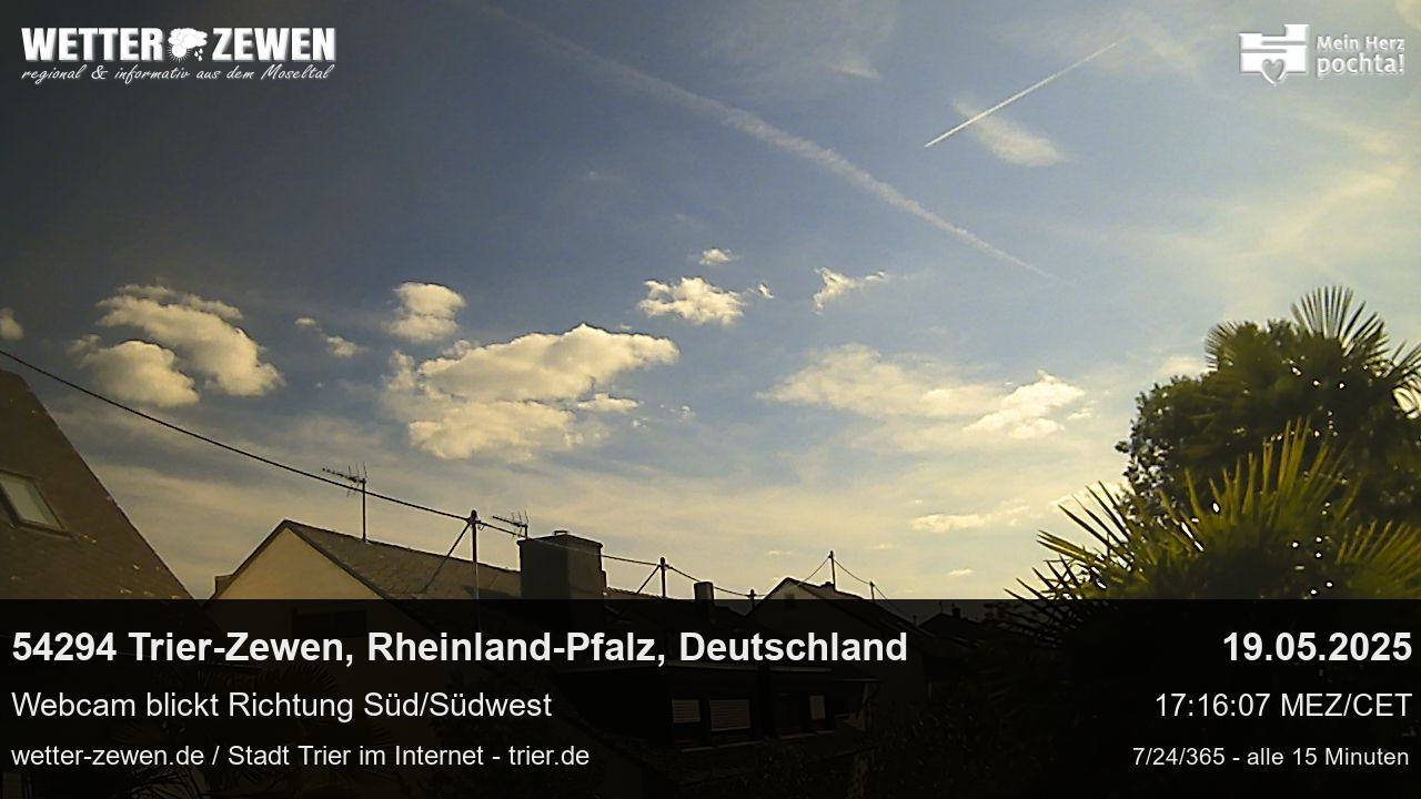 Bild