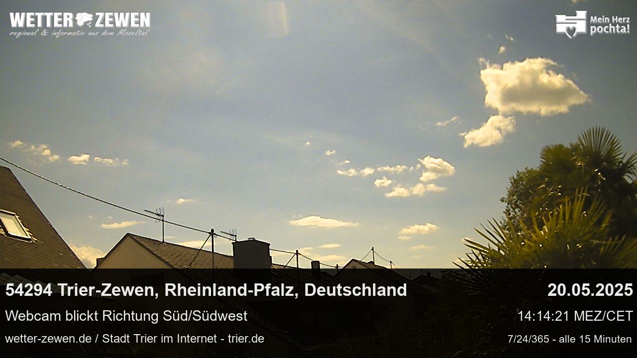 Bild