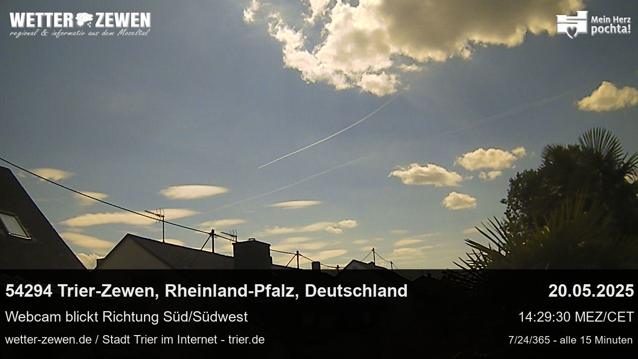 Bild