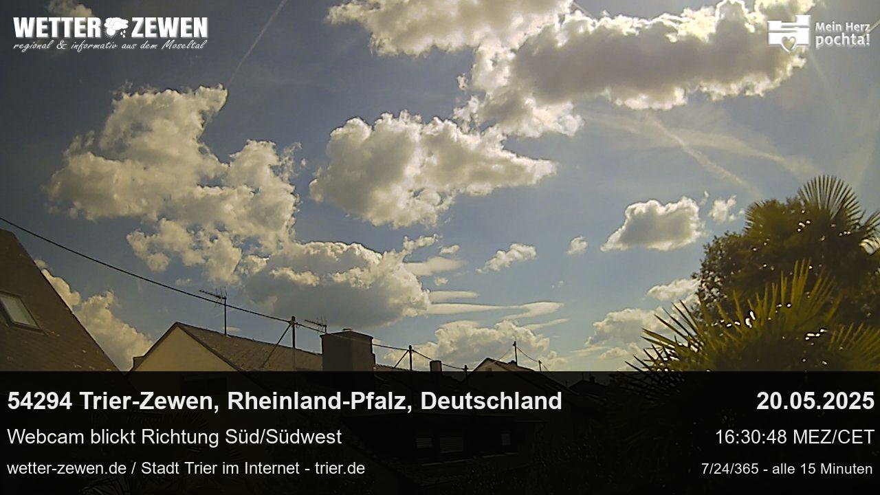 Bild