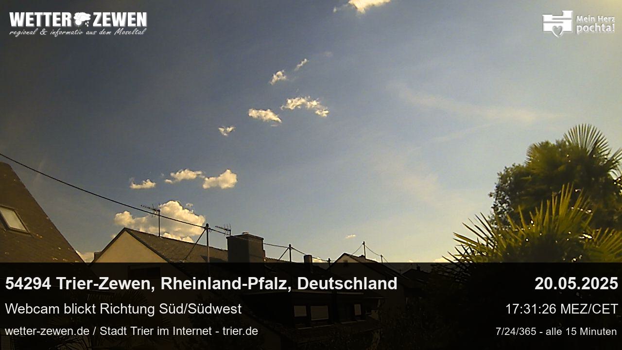 Bild
