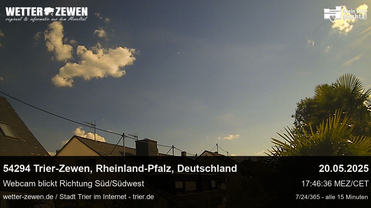 Bild