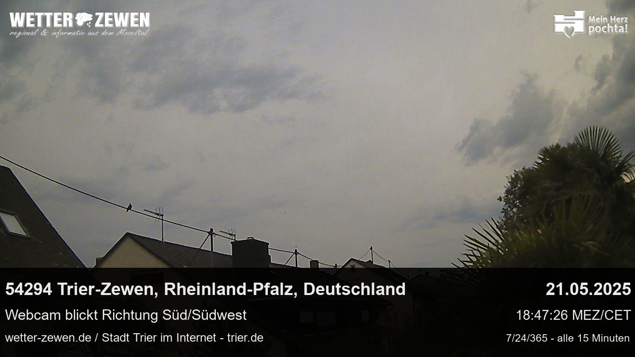 Bild