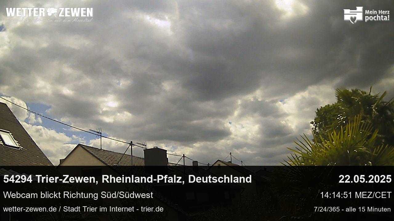 Bild