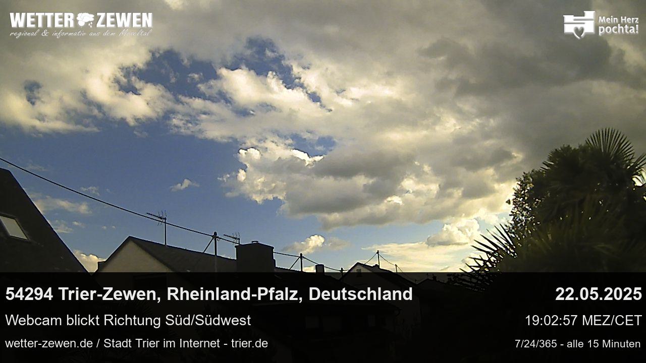 Bild