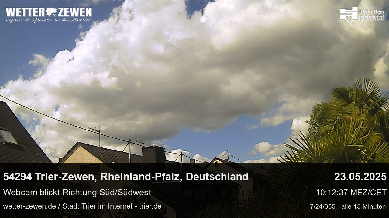 Bild