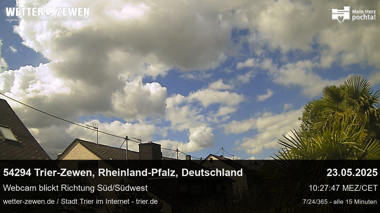 Bild