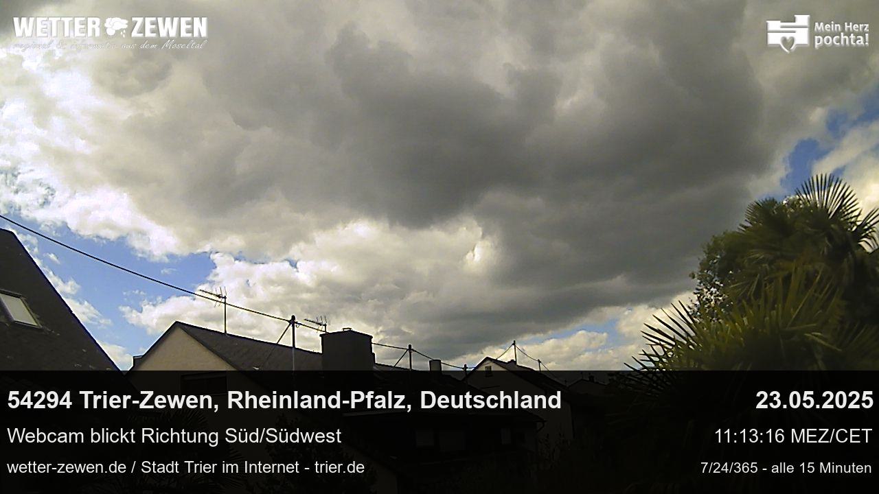 Bild