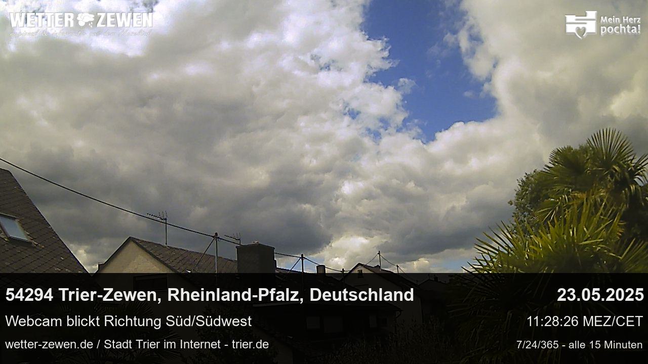 Bild
