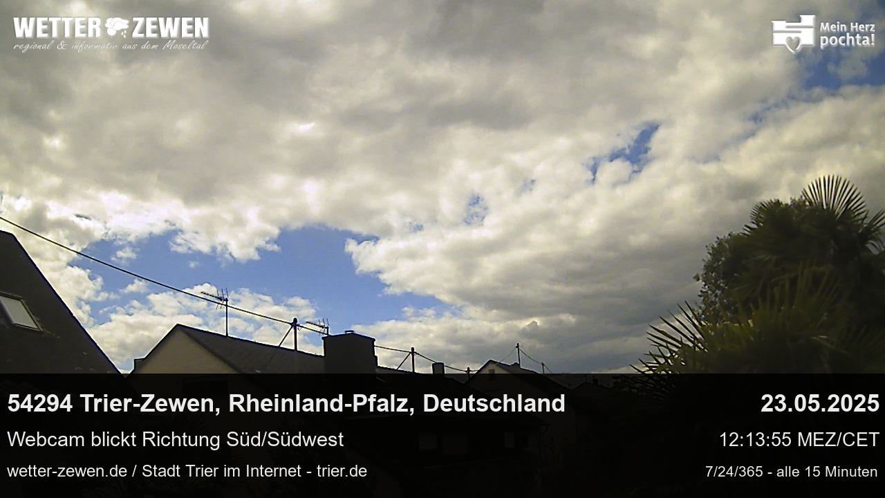 Bild