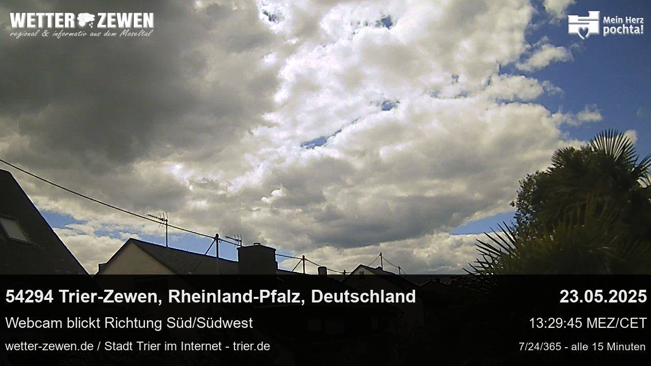Bild