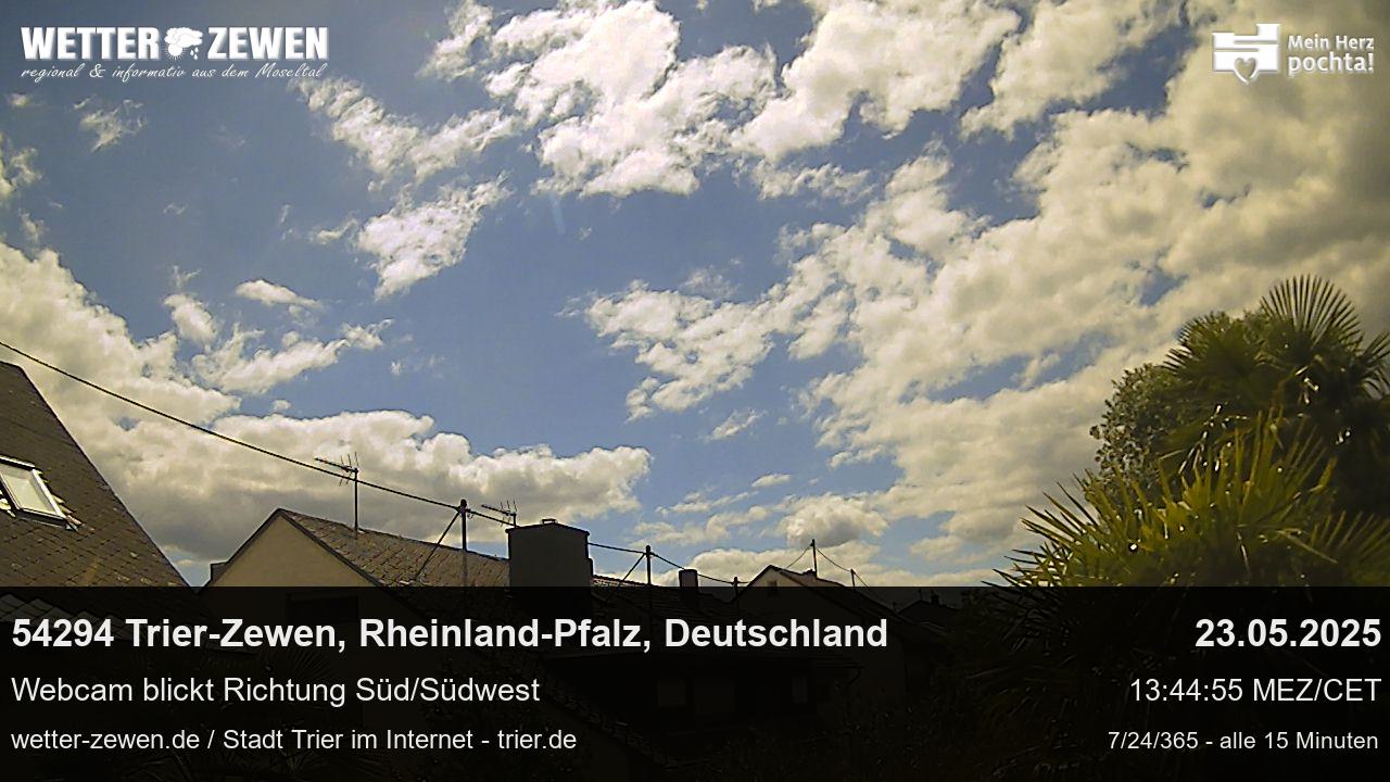 Bild