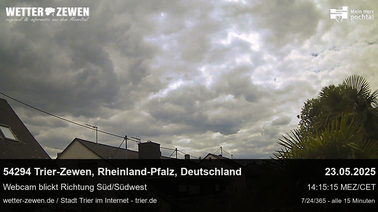 Bild