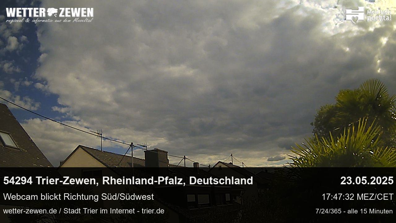 Bild