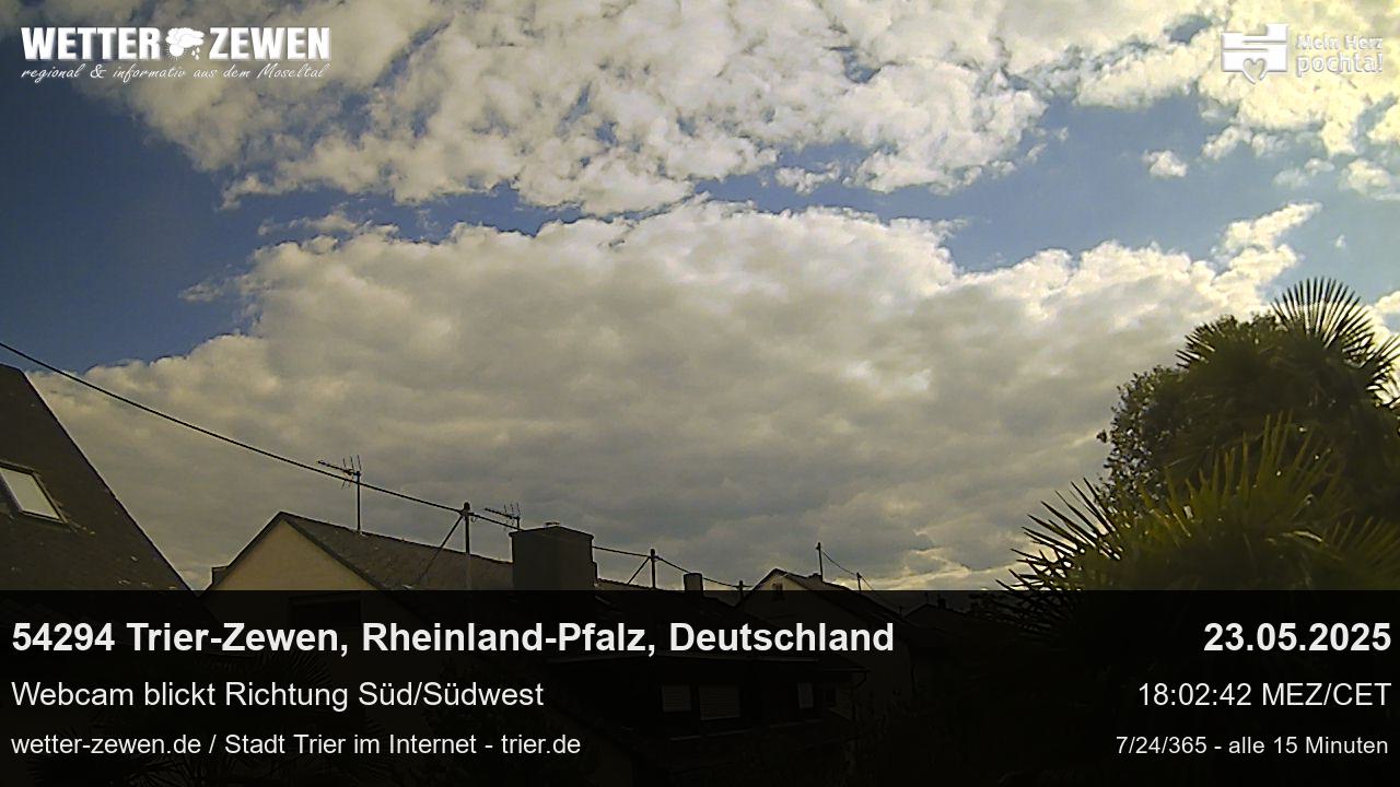 Bild
