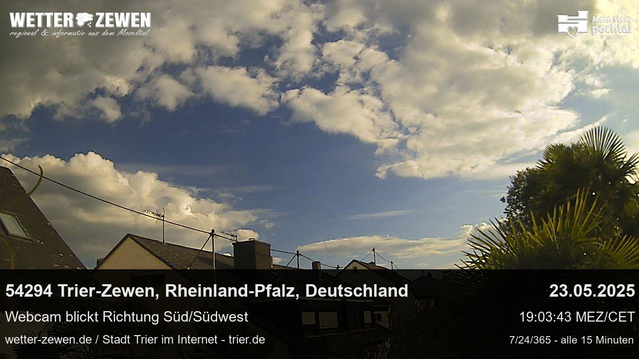 Bild