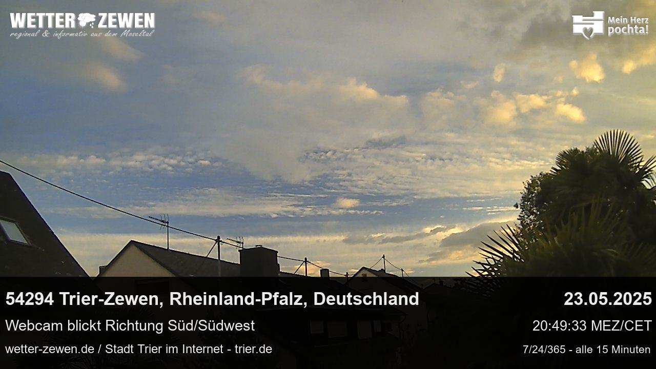 Bild