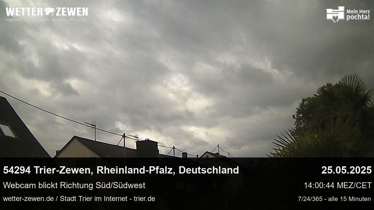 Bild
