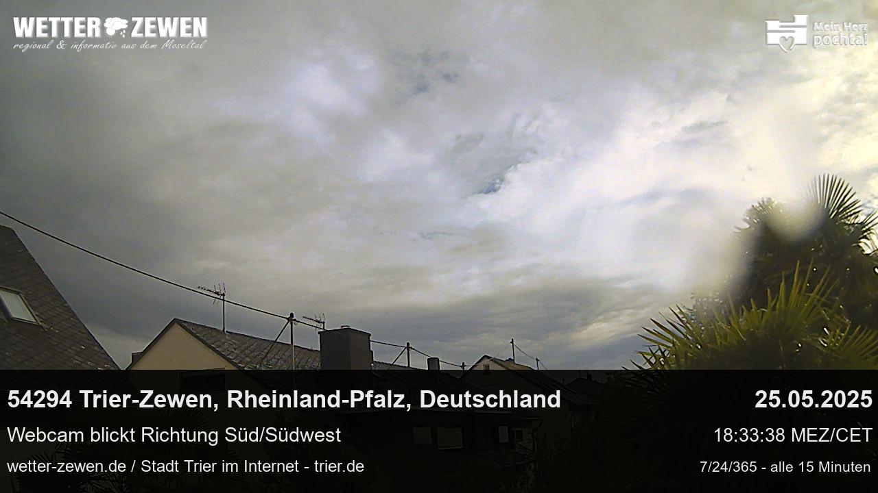 Bild