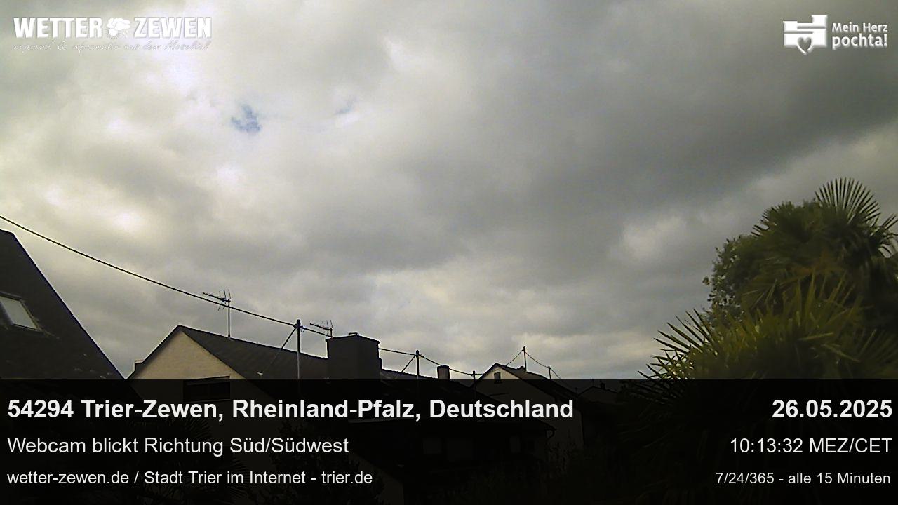 Bild