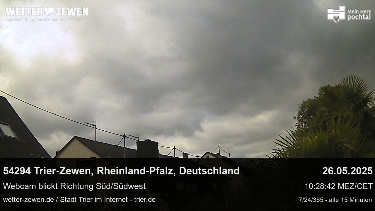Bild