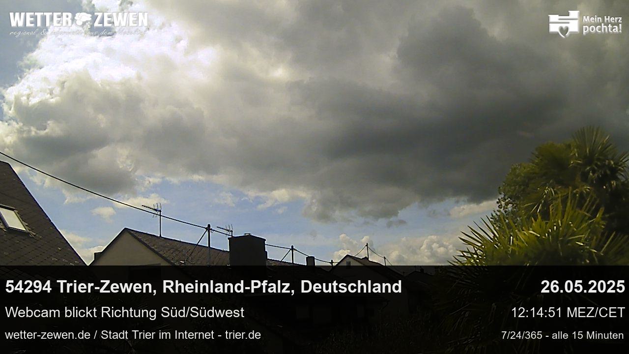 Bild