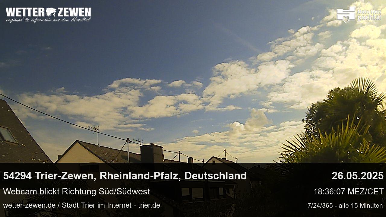 Bild