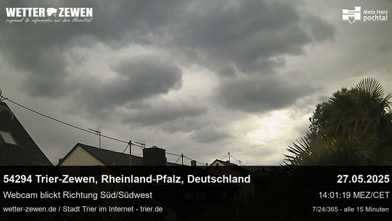 Bild