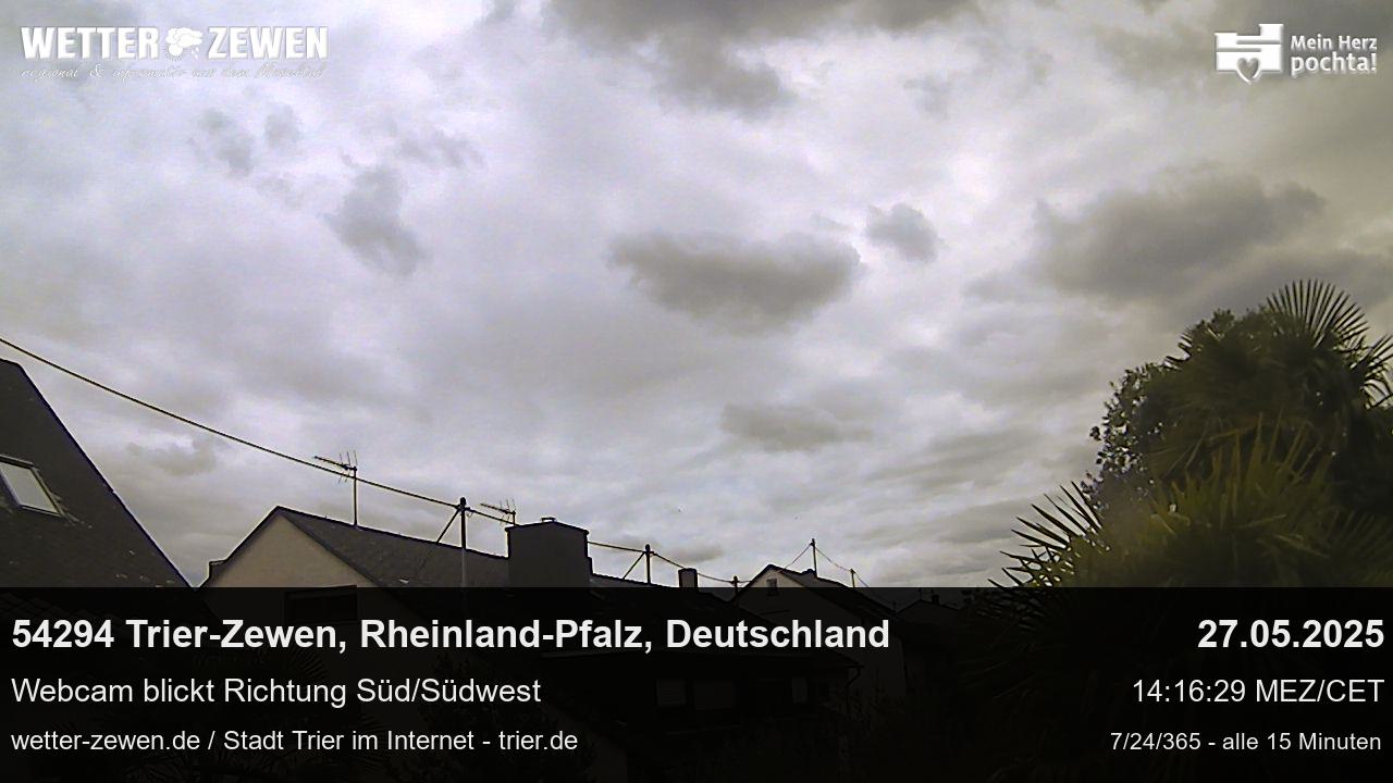 Bild