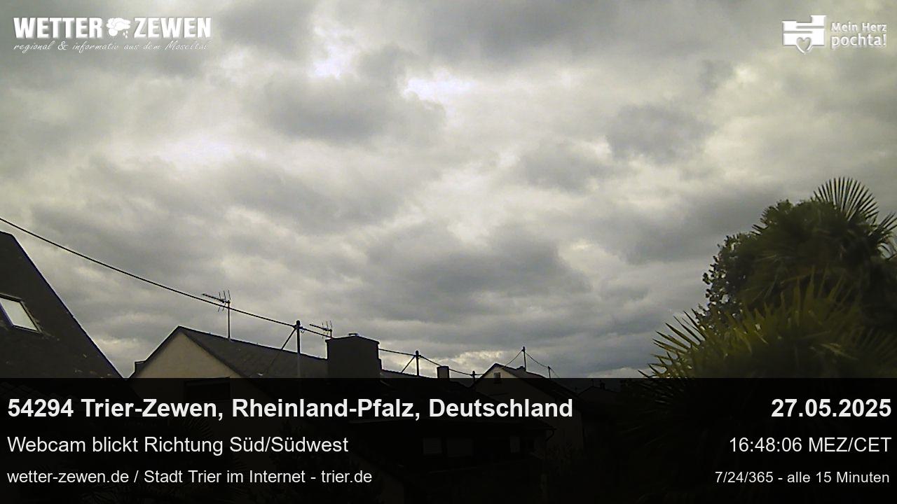 Bild