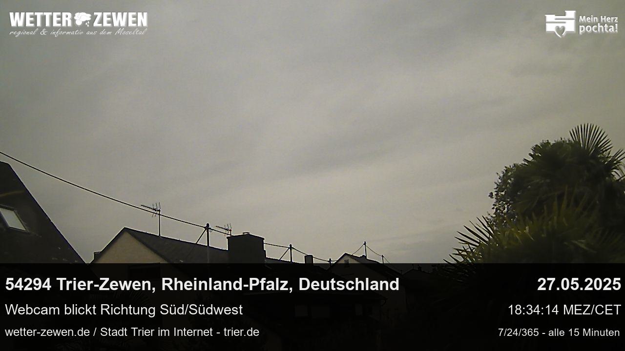 Bild