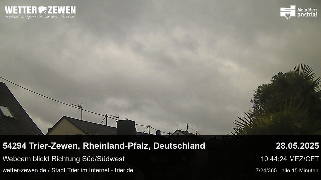 Bild