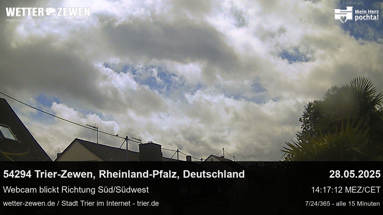 Bild