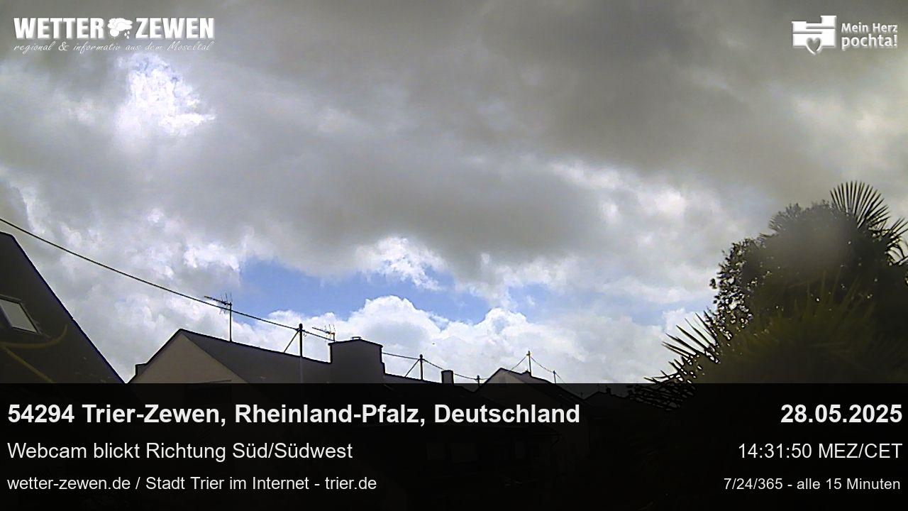 Bild