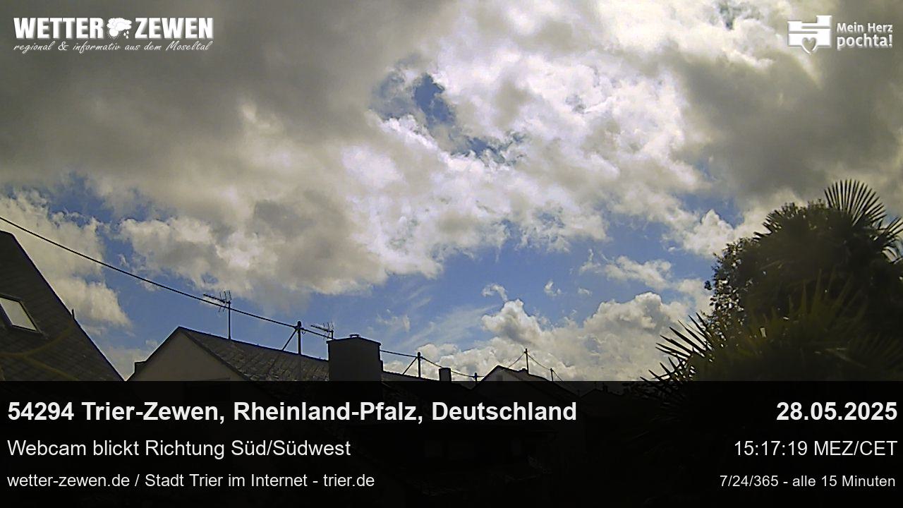 Bild