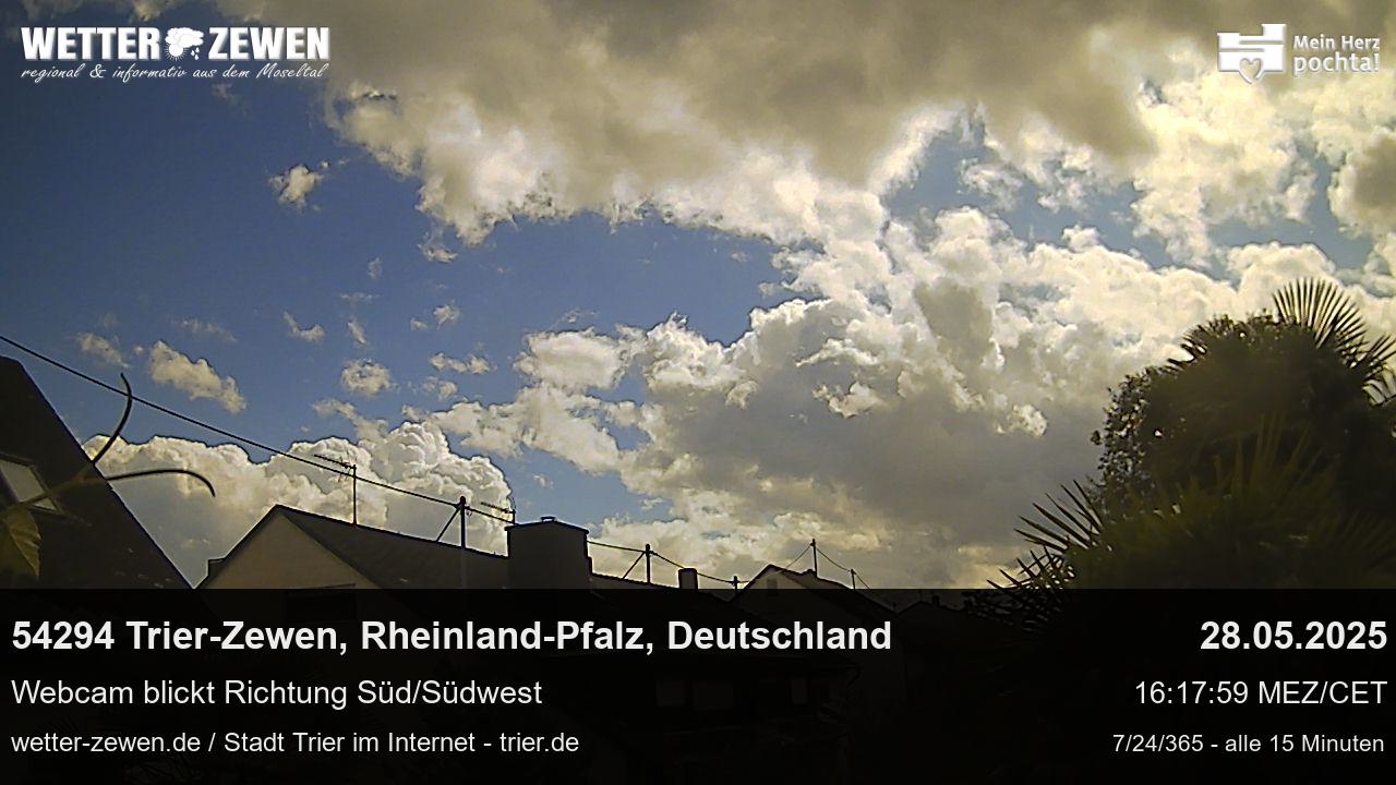 Bild