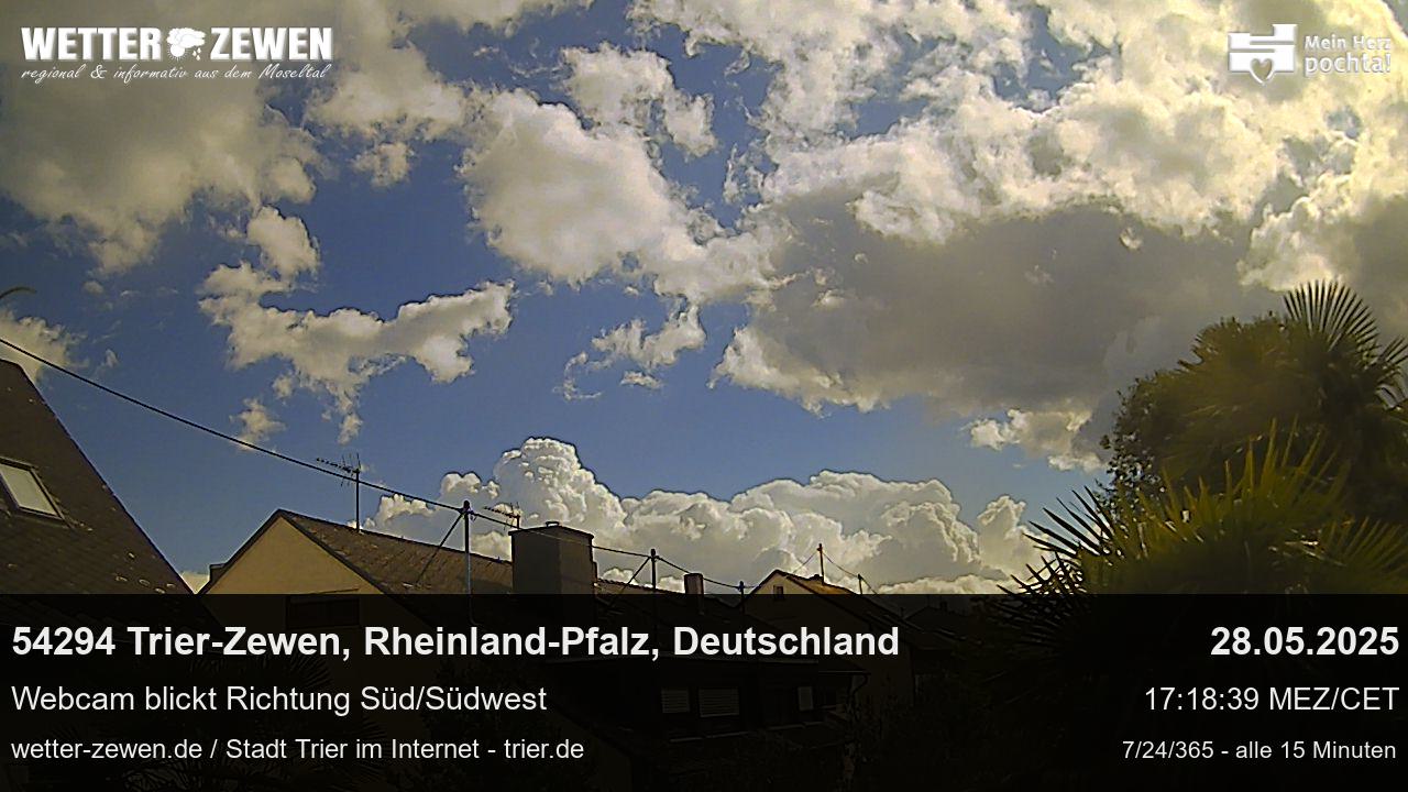 Bild