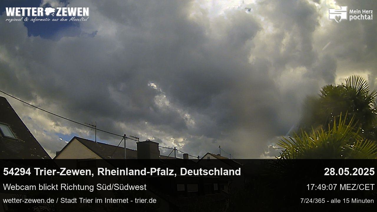 Bild