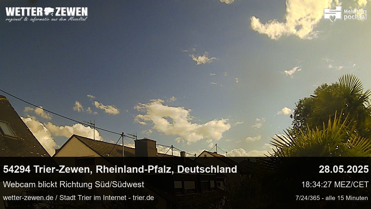 Bild