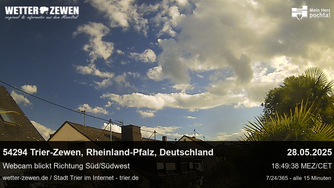 Bild